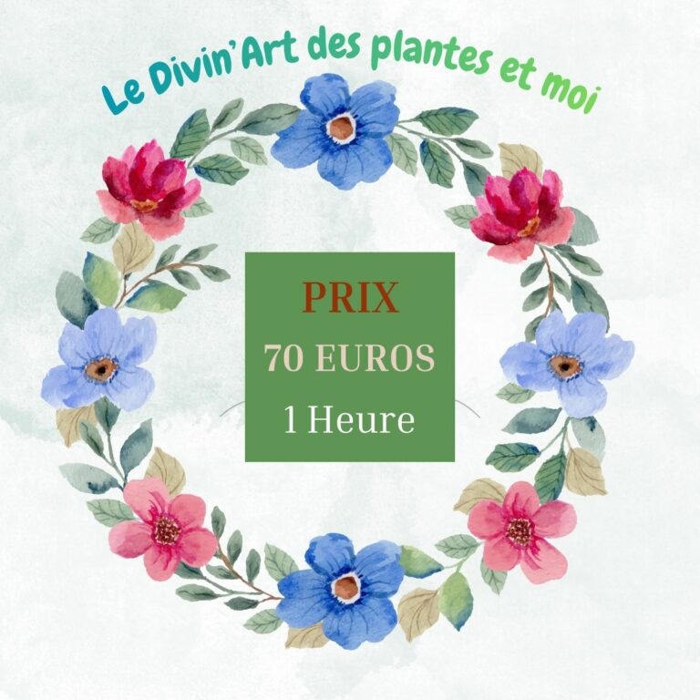 Prix plante